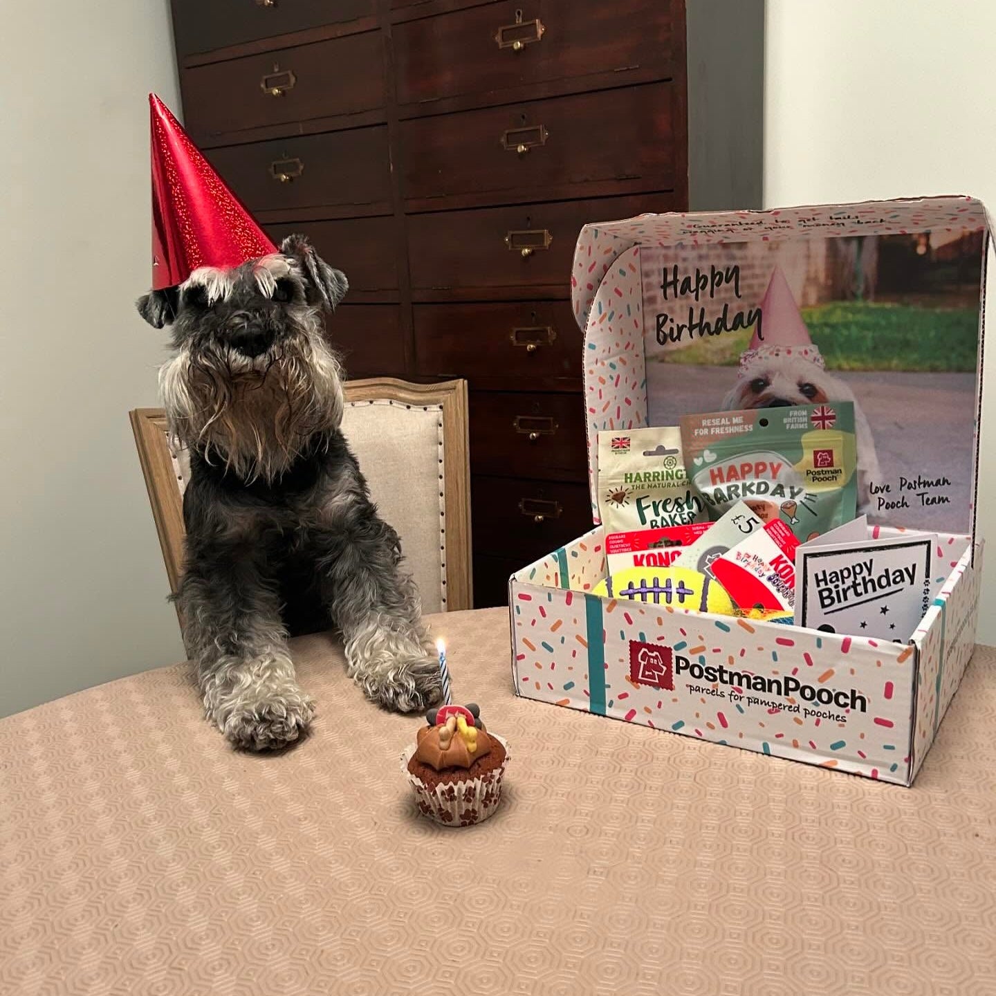 Dog Birthday box