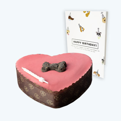 Small Pink Heart Dog Cake & Birthday Card