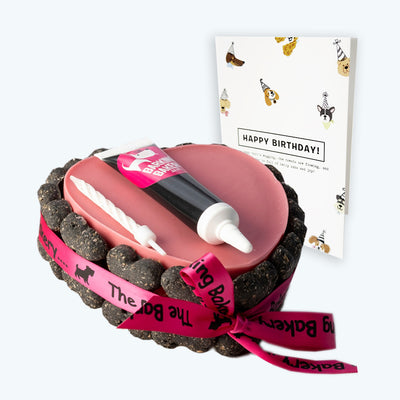 Pink Heart Dog Cake, Icing Pen & Card