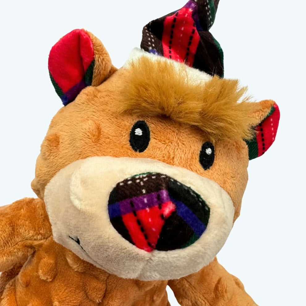Jingle the Festive Bear Dog Toy with Squeaker
