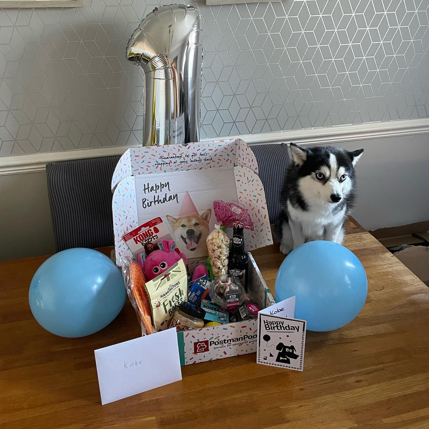 Dog Birthday Box