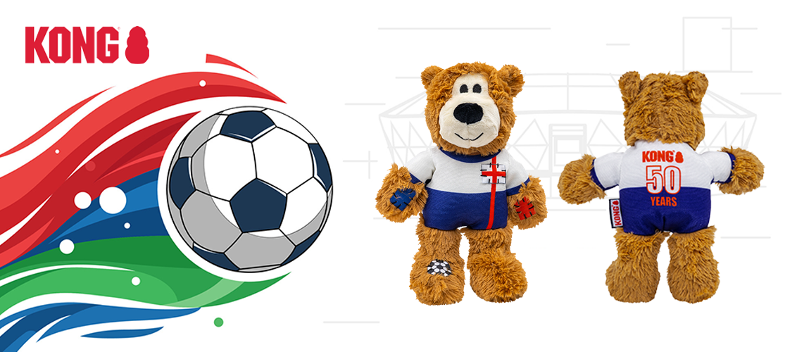 Kong world cup england bear