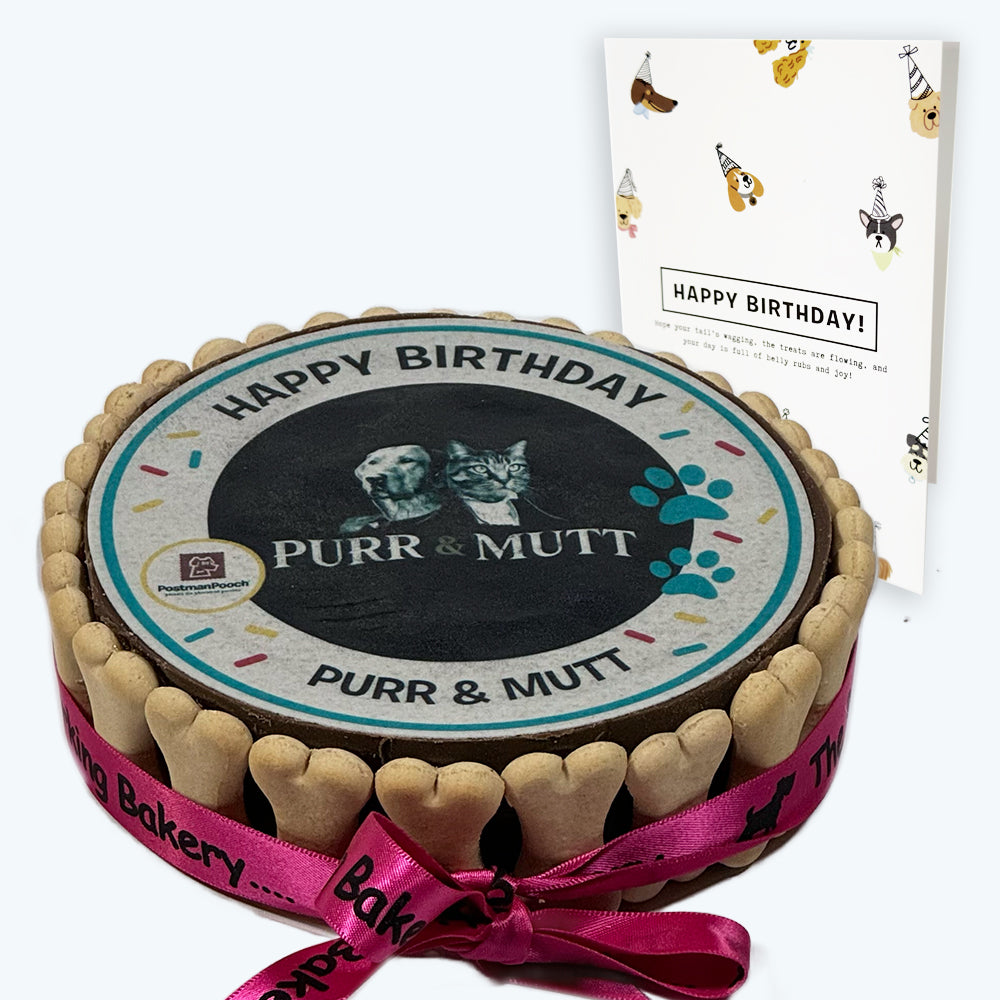 Dog Birthday Cake