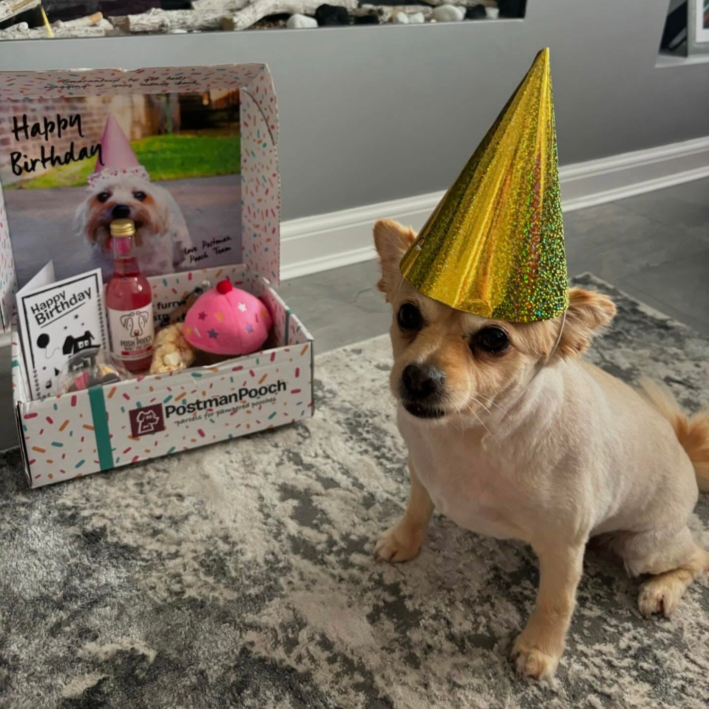 Dog birthday box