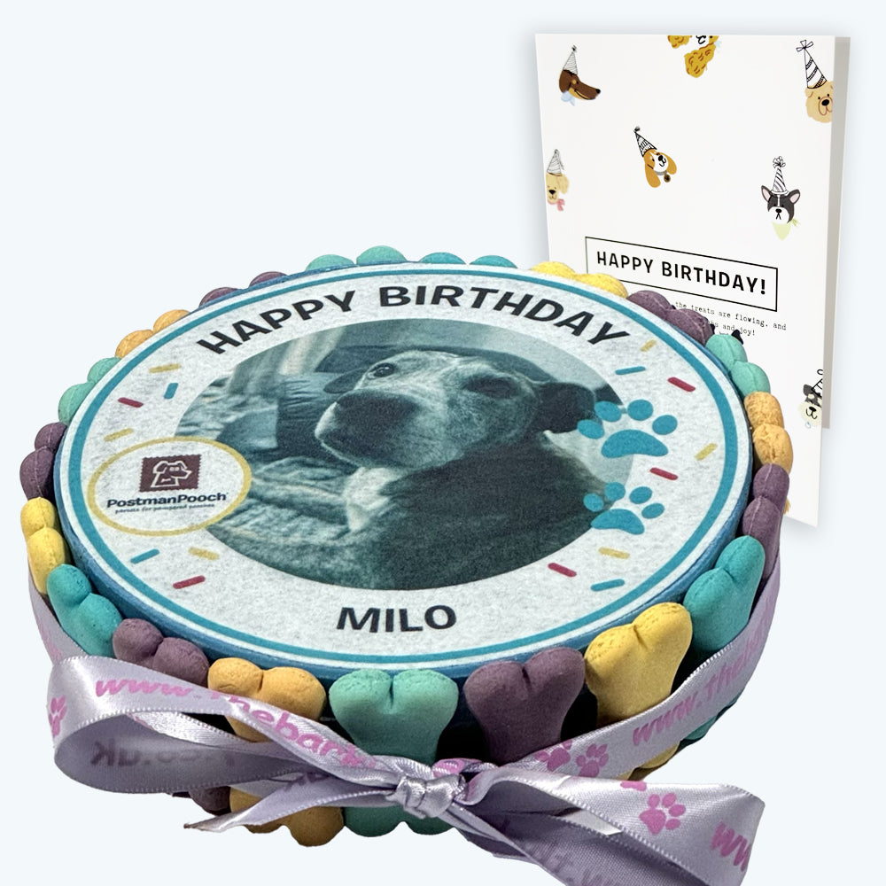Dog Birthday Cake