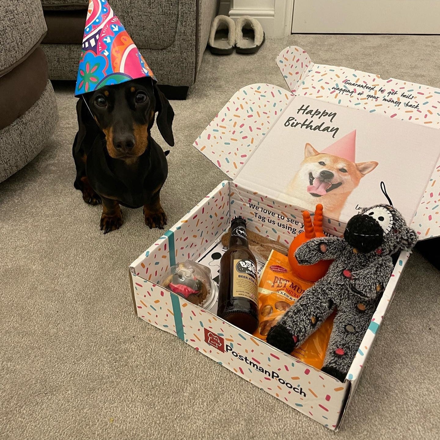 Dog Birthday Box