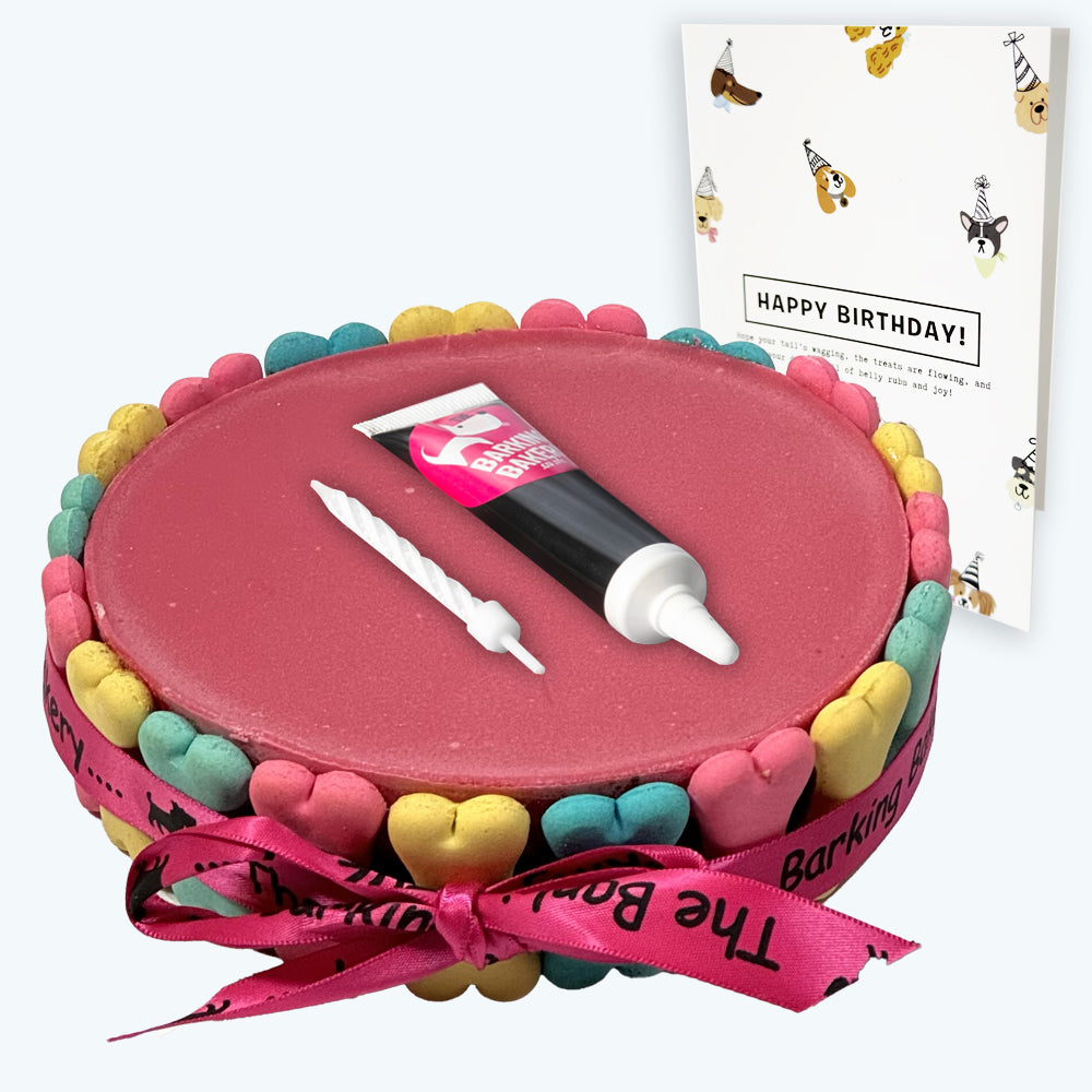 Dog Birthday Cake, Icing Pen & Card - White