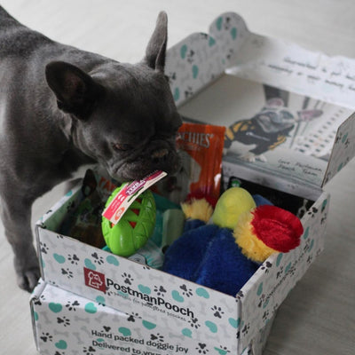 dog subscription box