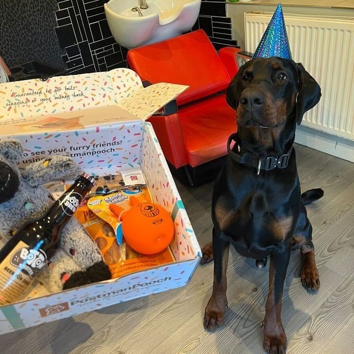 Dog birthday box