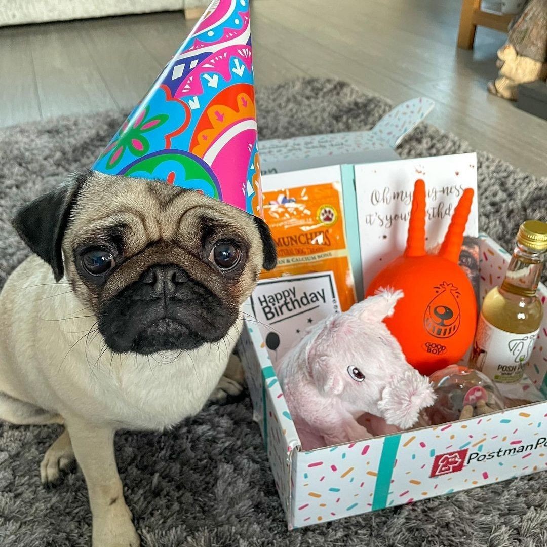 Dog Birthday box