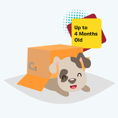 Puppy Dog Subscription Box