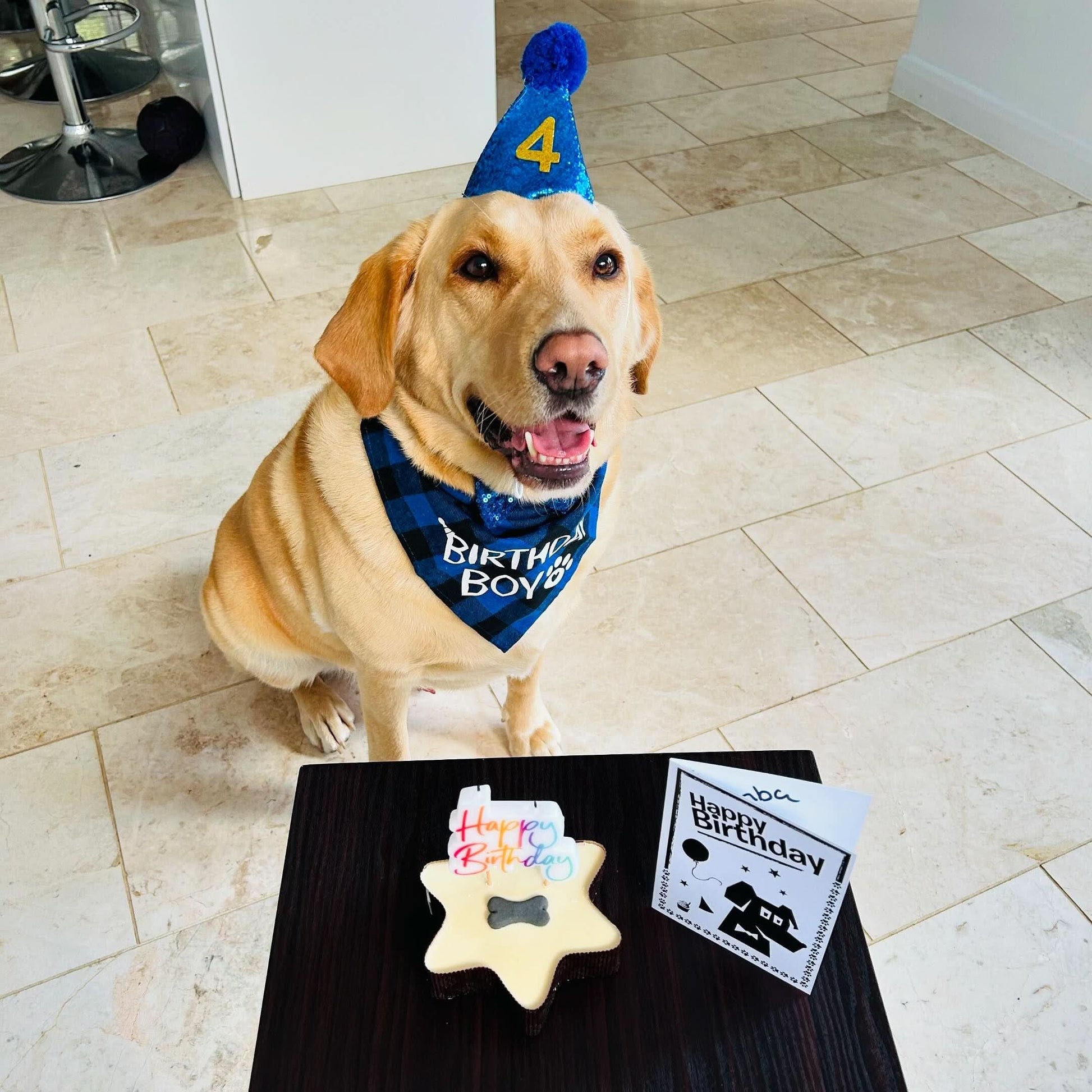 Small Star Shaped Dog Cake