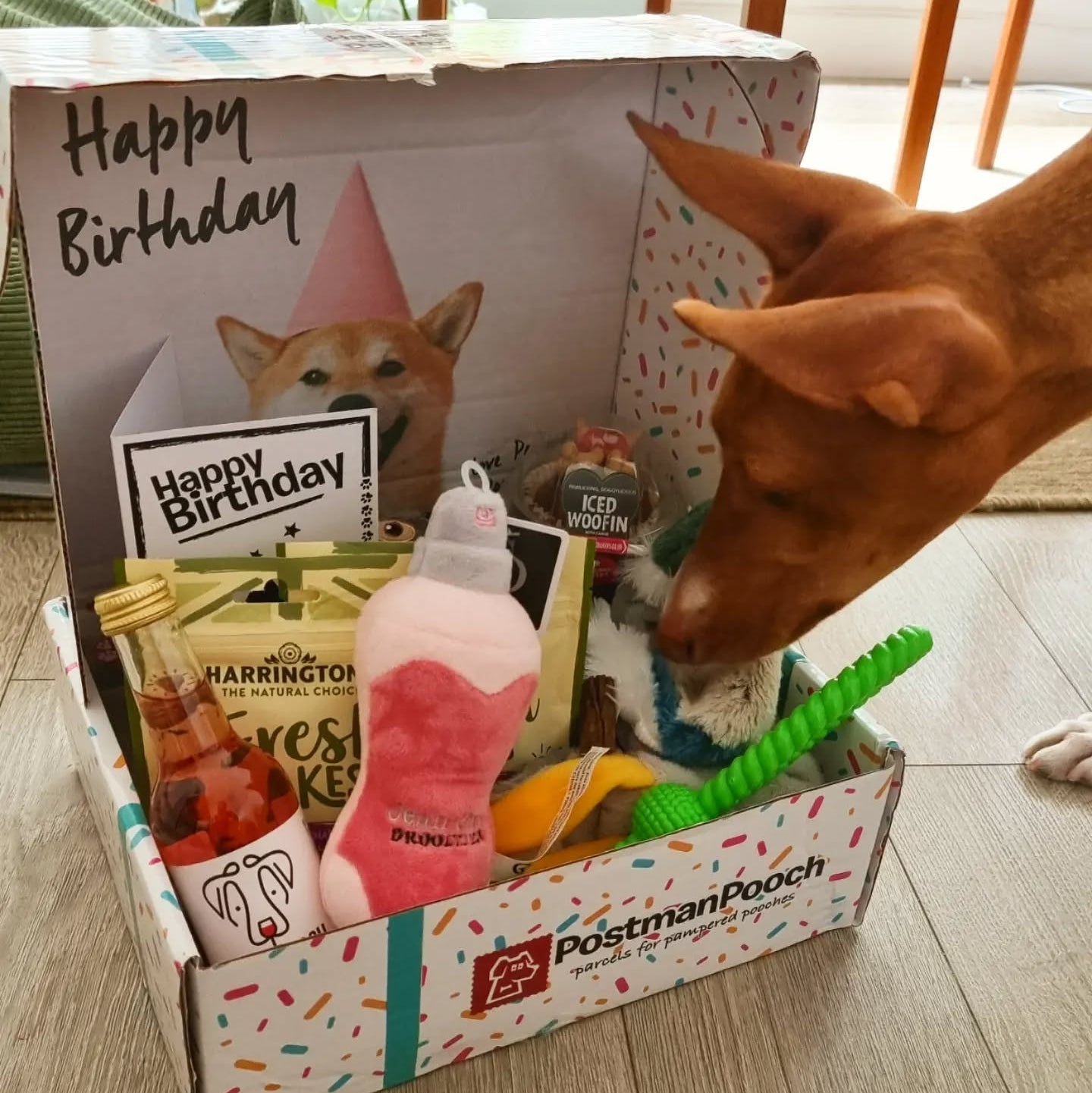 Dog Birthday Box