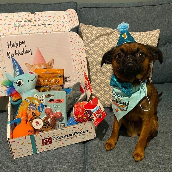 Dog Birthday