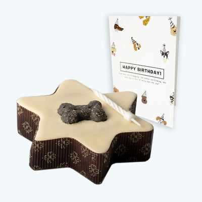 Small Star Shaped Dog Cake & Birthday Card