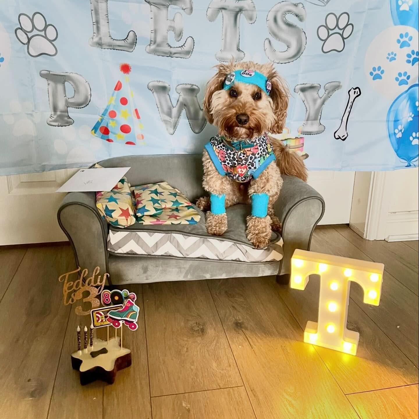 Small Star Shaped Dog Cake