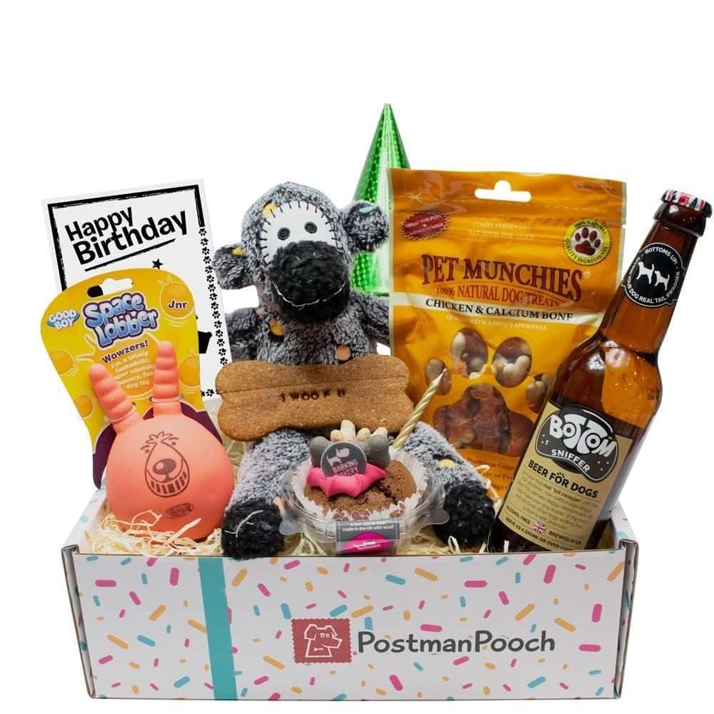 Dog Birthday Box (Boys)