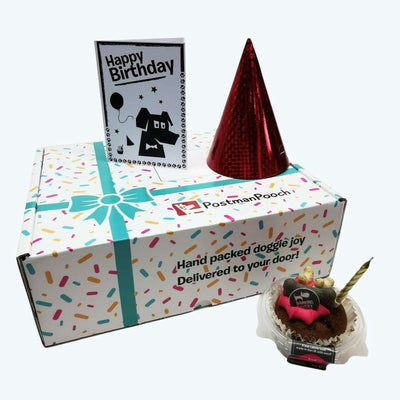 Build a Dog Birthday Box