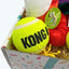KONG Dog Toy Birthday Box