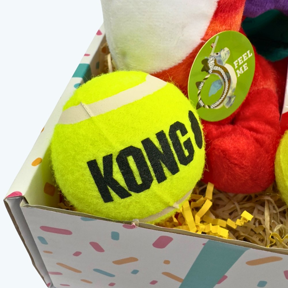 KONG Dog Toy Birthday Box