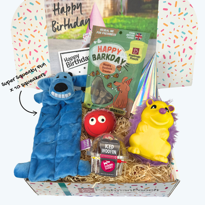 Furry Friends Dog Birthday Box