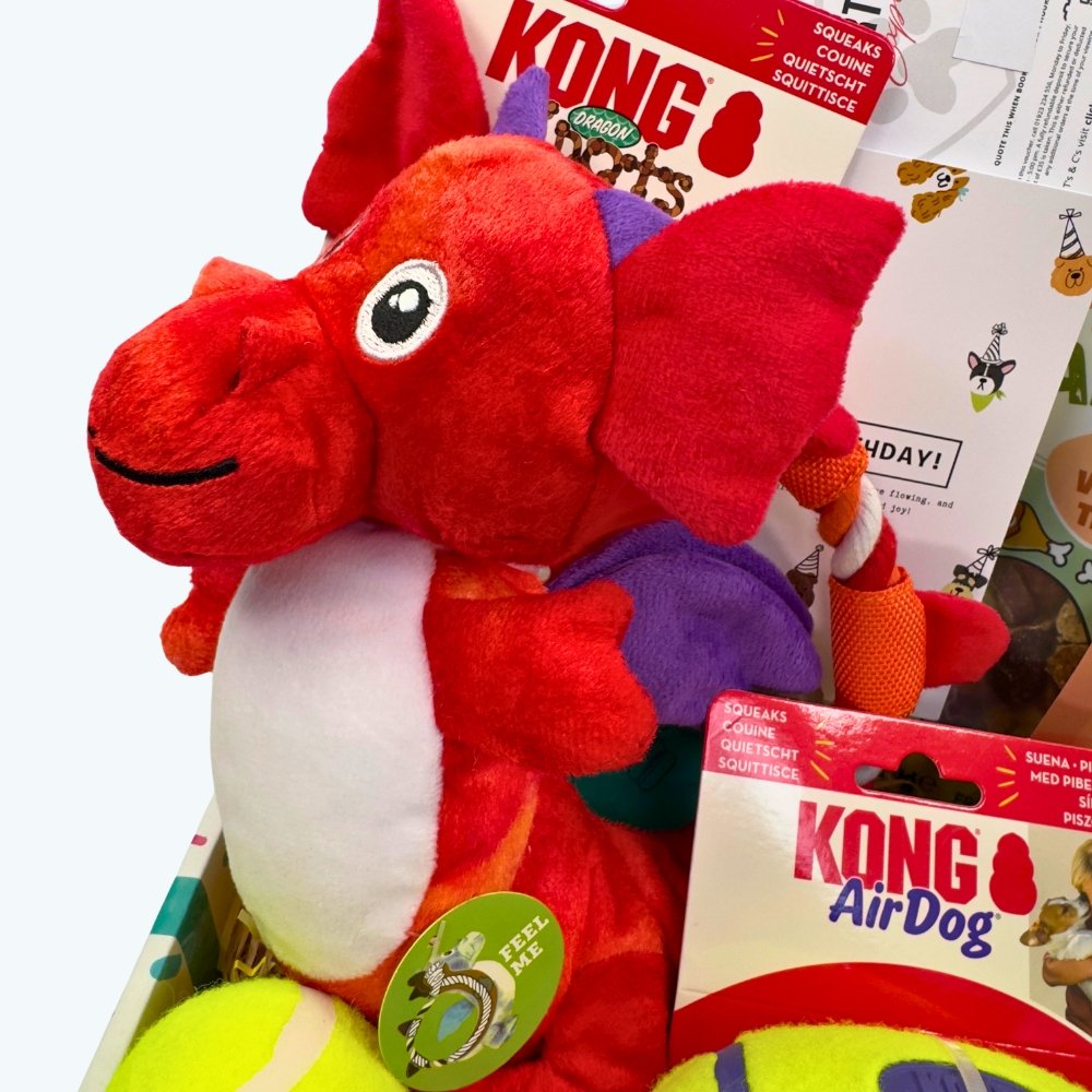 KONG Dog Toy Birthday Box