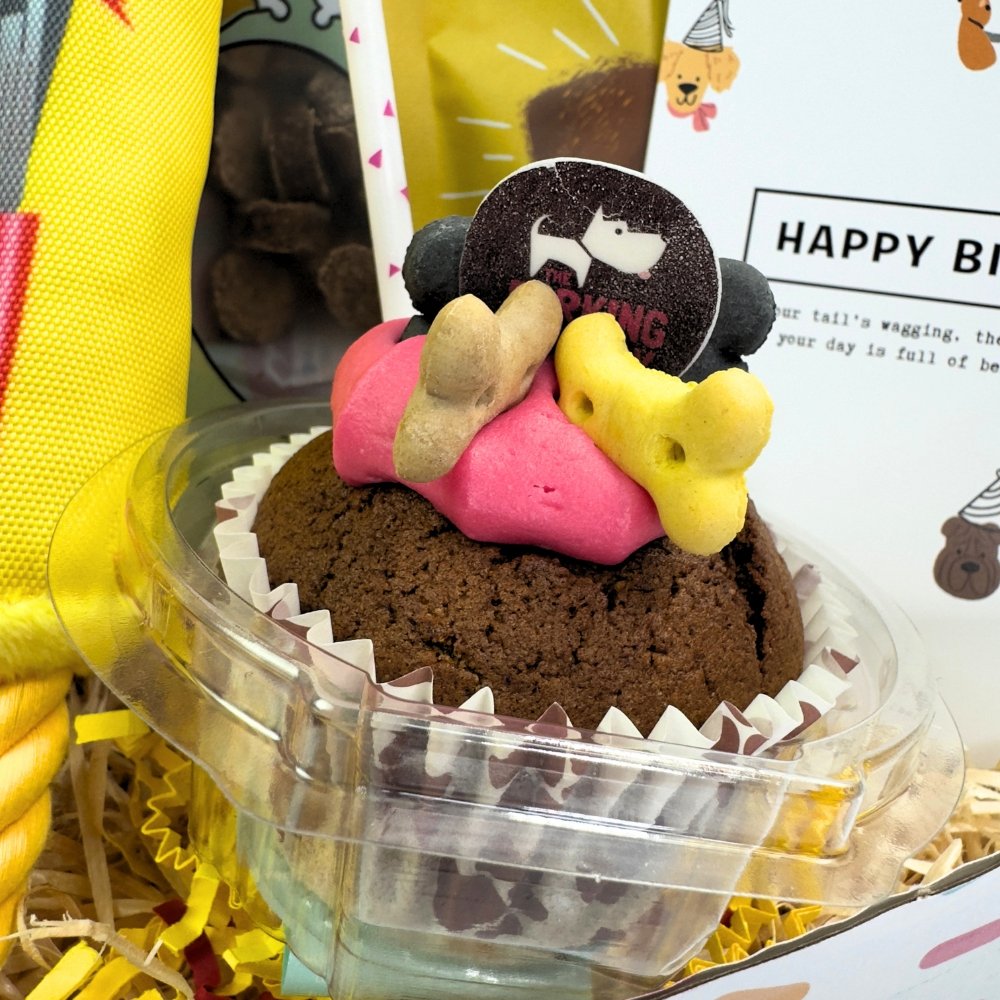Luxury Dog Birthday Box