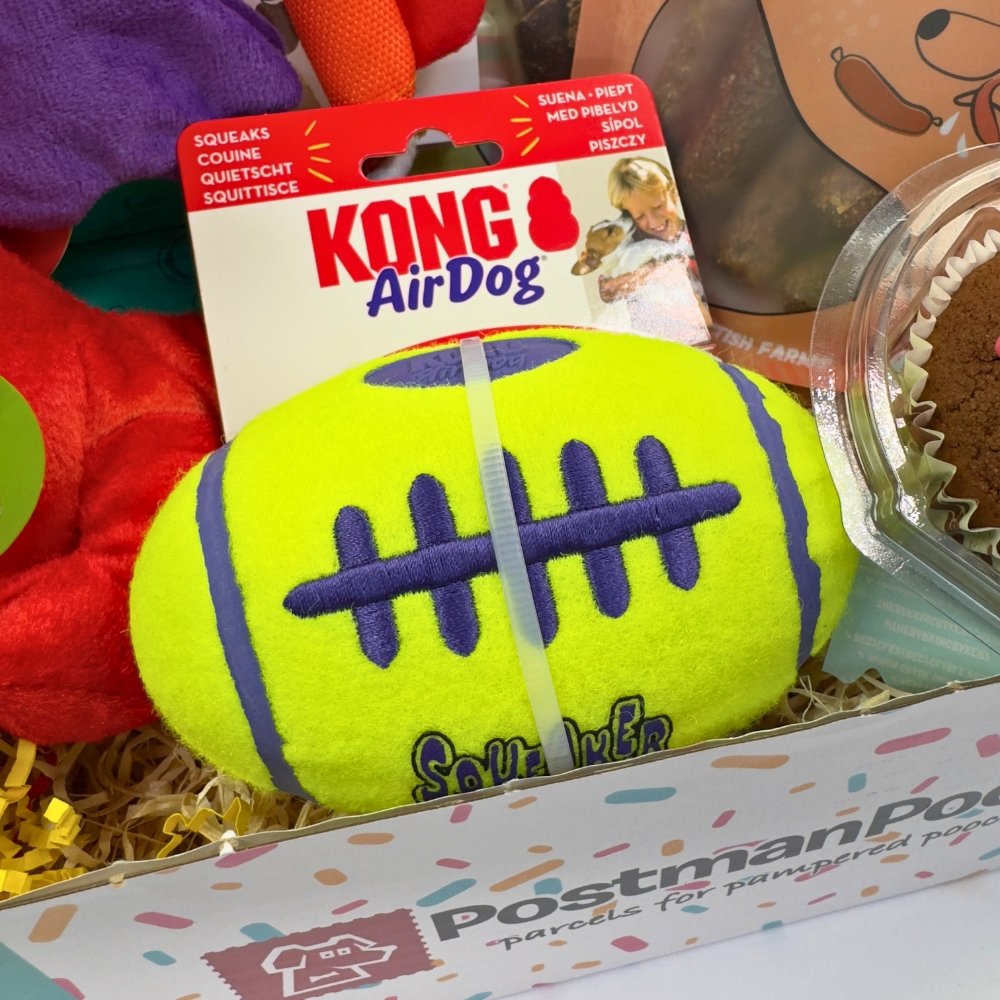 KONG Dog Toy Birthday Box