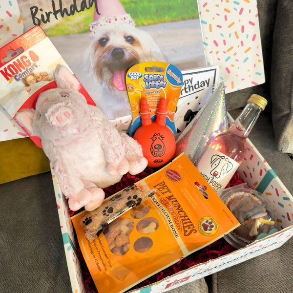 Gift Box Dog Birthday Presents Letterbox Dog Treat Box, Puppy - Main Image