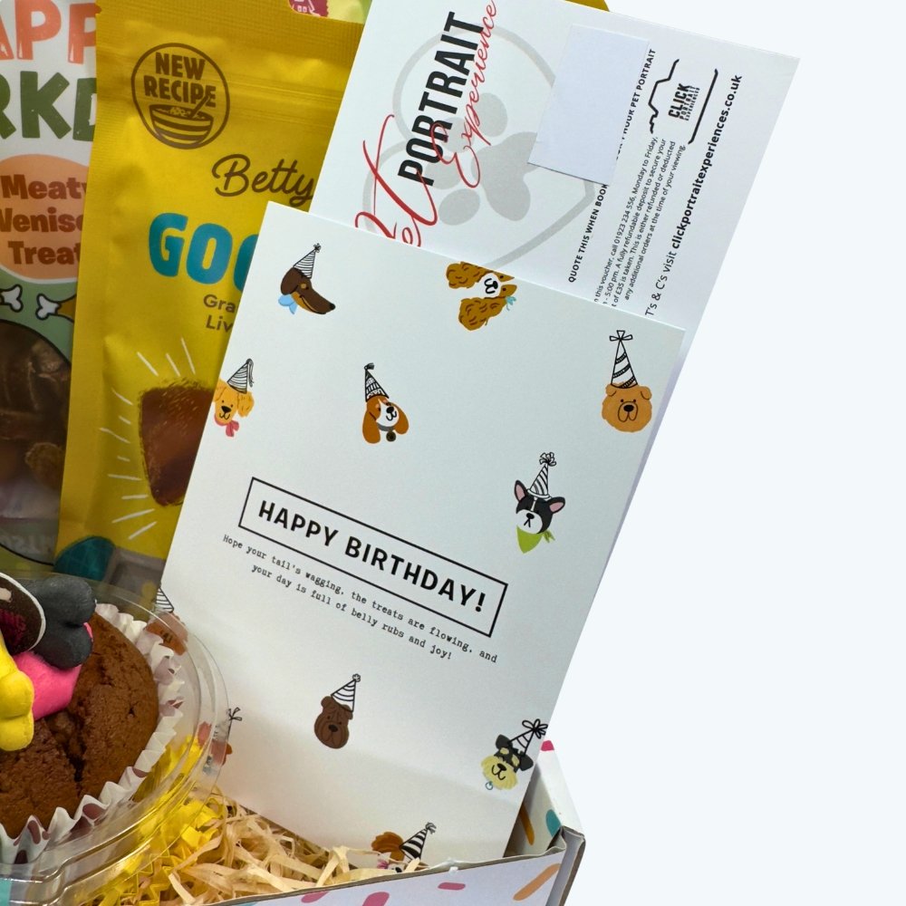 Luxury Dog Birthday Box