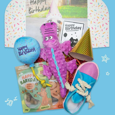 Happy Snappy Dog Birthday Box