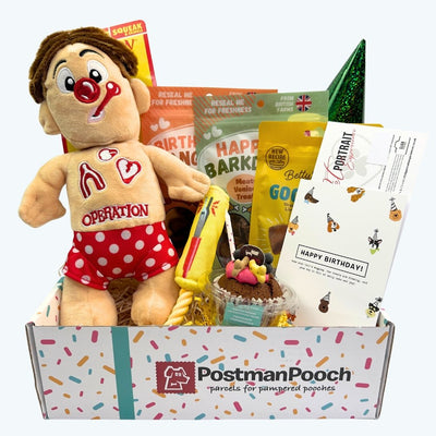 Luxury Dog Birthday Box