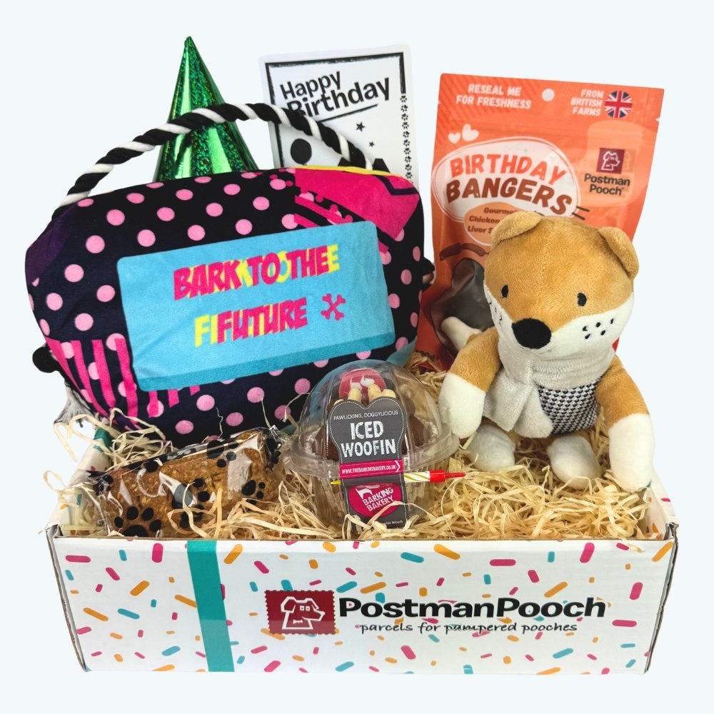 Bark to The Future Dog Birthday Box