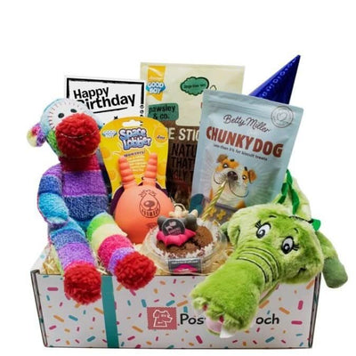 Soft Toy Dog Birthday Box