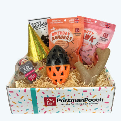 Extreme Chewers Dog Birthday Box