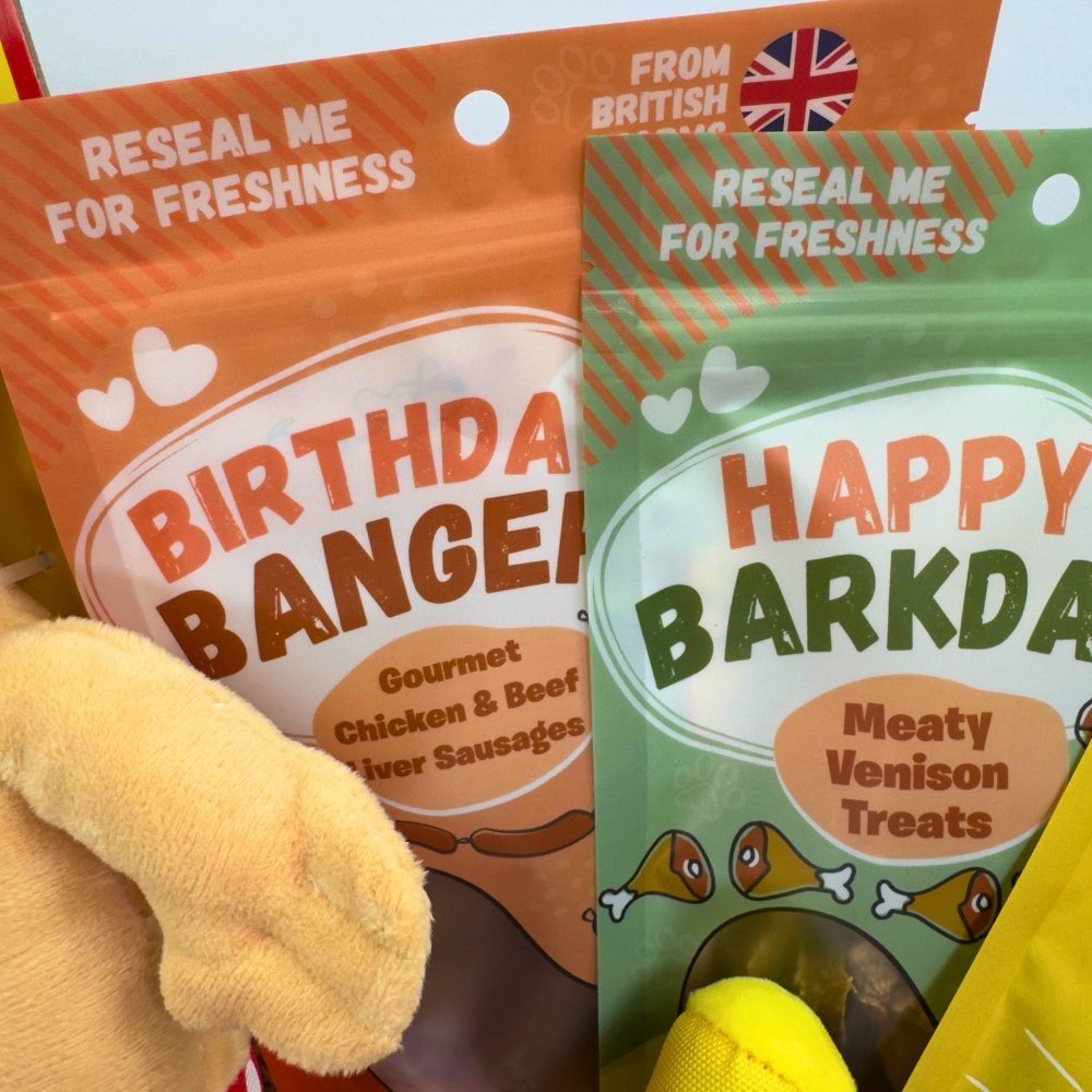 Luxury Dog Birthday Box