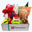 KONG Dog Toy Birthday Box