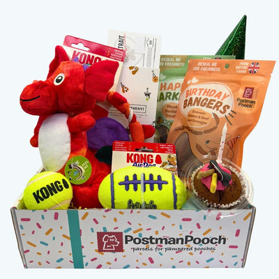 KONG Dog Toy Birthday Box
