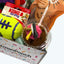 KONG Dog Toy Birthday Box