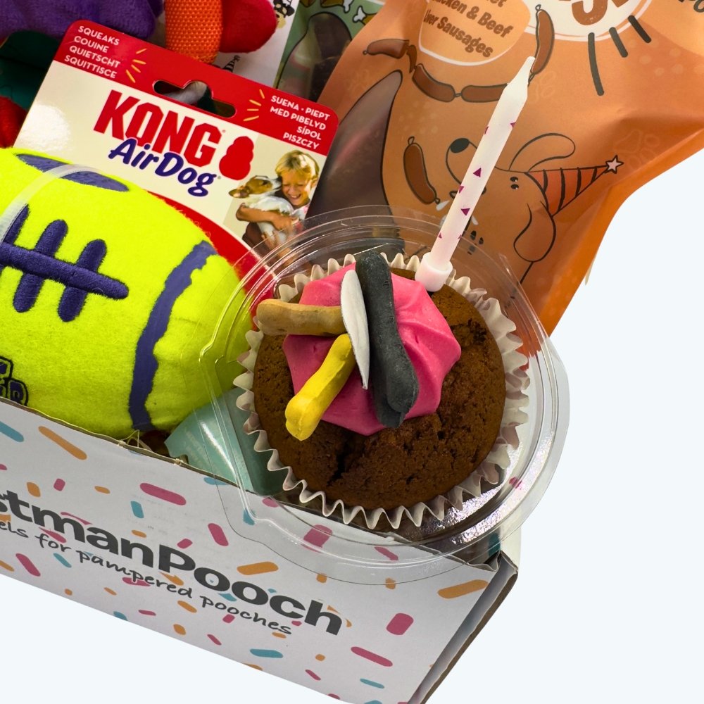 KONG Dog Toy Birthday Box