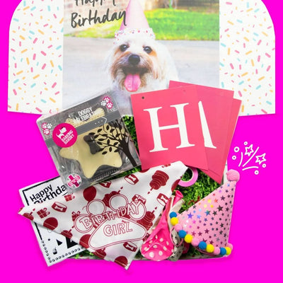 Dog Birthday Party Box – Girls