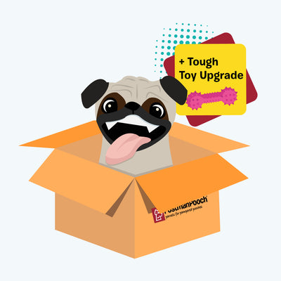 Tough Dog Subscrption Boxes