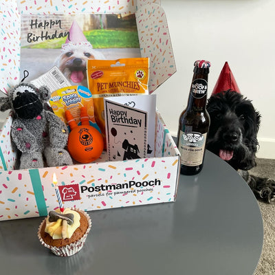 Dog Birthday Box (Boys)