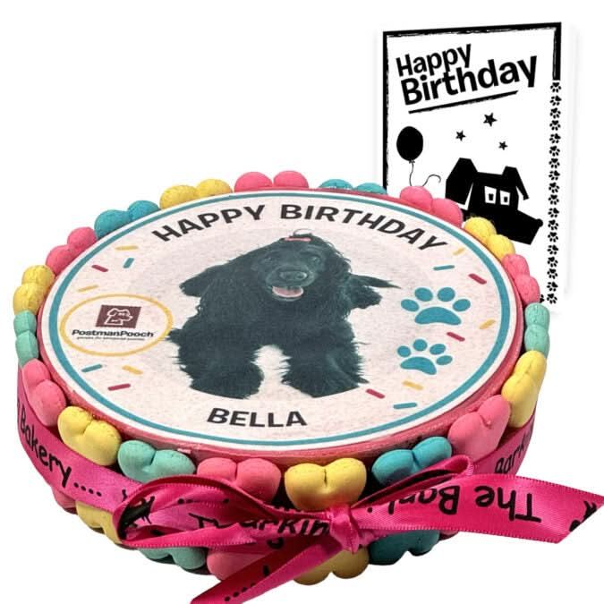 Personalised Dog Picture Birthday Cake & Card