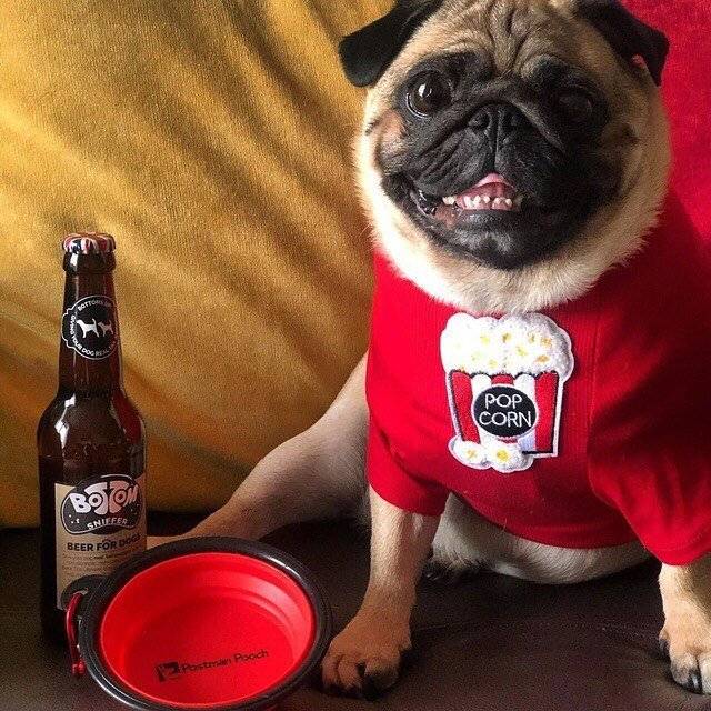 Ronnie Wood Pug With Dog Beer