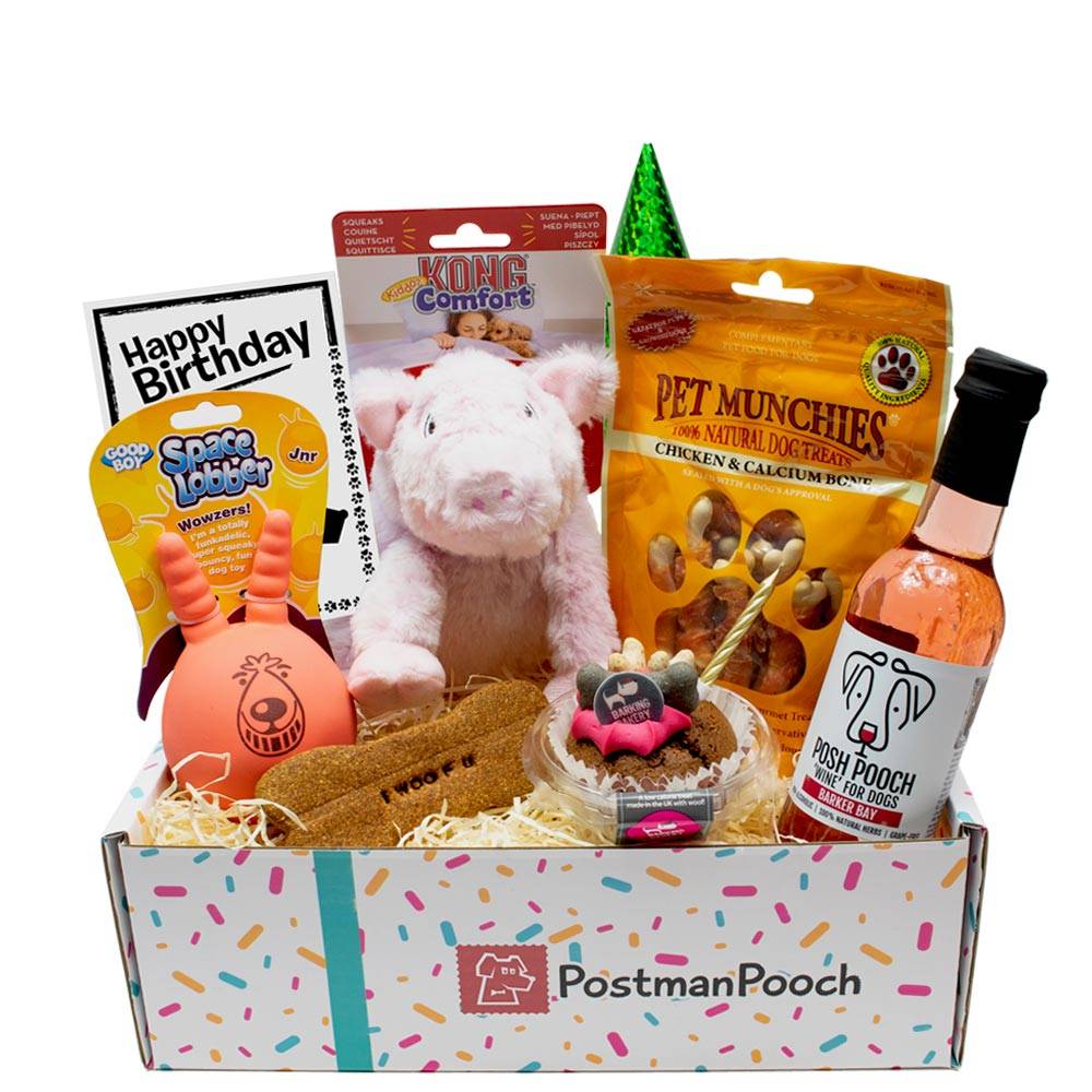 Dog Birthday Box