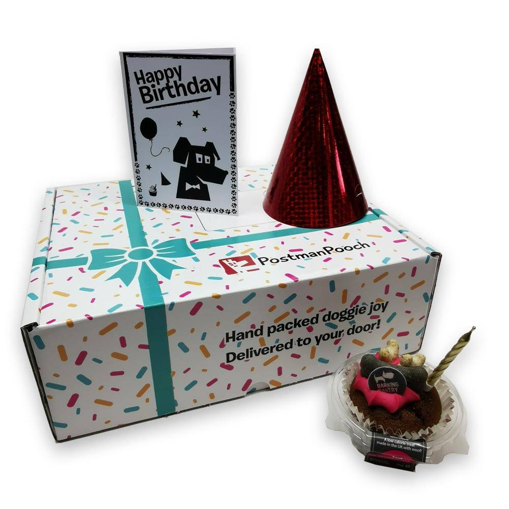 Build a dog birthday present