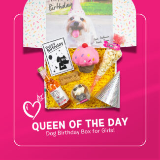 Girls Dog Birthday box