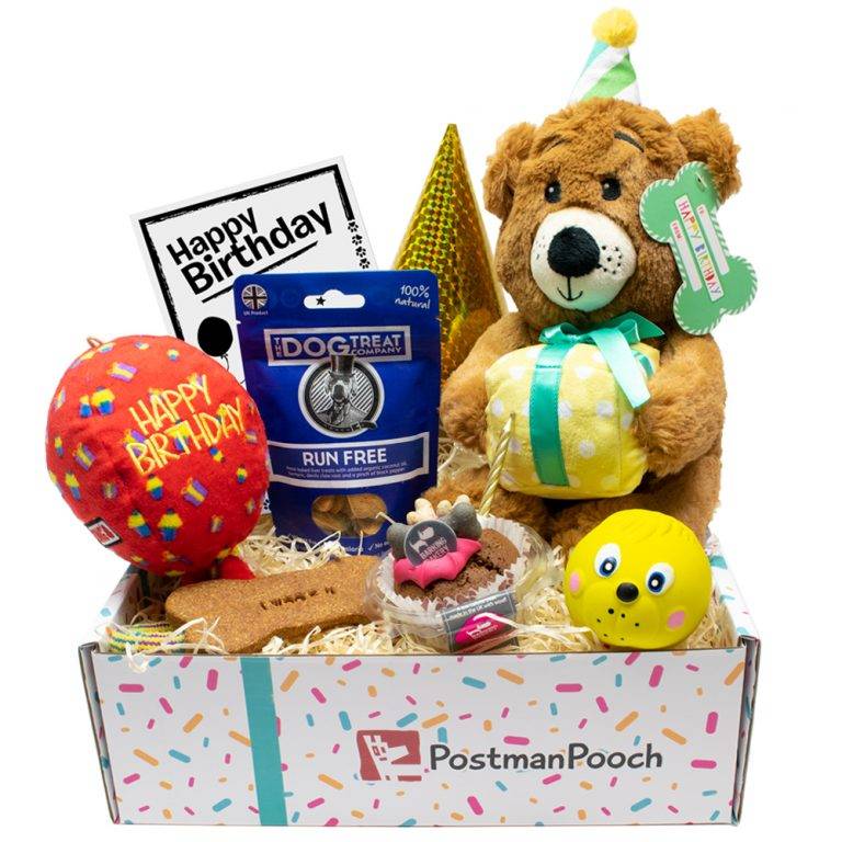 dog-birthday-boxes-the-best-birthday-gift-for-your-dog