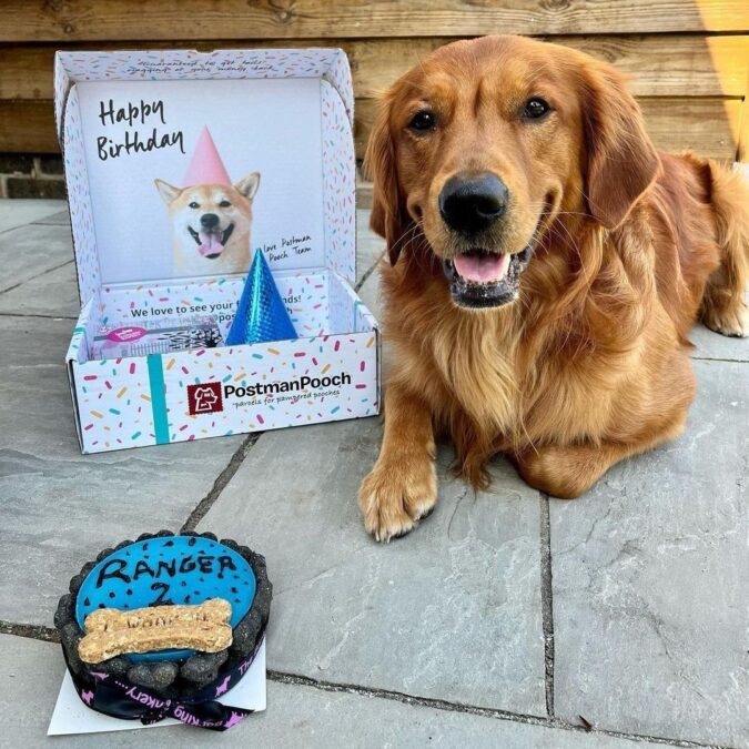 Dog birthday cake - blue